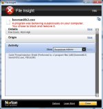 NortonFileInsight_report.jpg